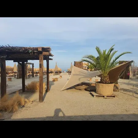 Seaside Mamaia Nord *
